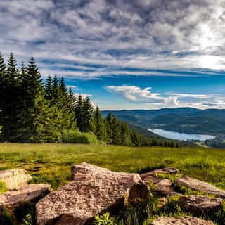 Zurich: Black Forest, Titisee, and Rhine Falls Bus Day Trip