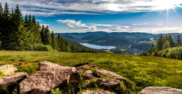 Zürich: Schwarzwald, Titisee und Rheinfall Bustagesausflug