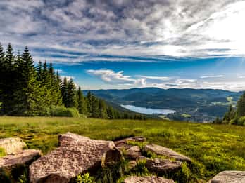 Zurich: Black Forest, Titisee, and Rhine Falls Bus Day Trip