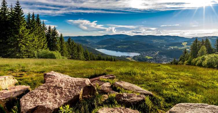 The BEST Black Forest Tours and Things to Do in 2024 - FREE