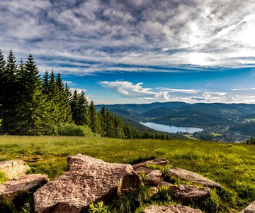 Zürich: Schwarzwald, Titisee und Rheinfall Bustagesausflug