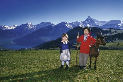 From Zurich: Bus Day Trip to Heidiland and Liechtenstein