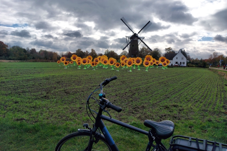 Eindhoven: E-Fatbike Tour Auf den Spuren von Vincent van GoghVan Gogh Tour + E-Fatbike