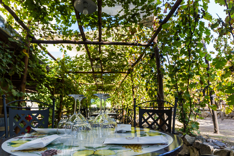 Napoli: degustazione di vini di Pompei con pranzo