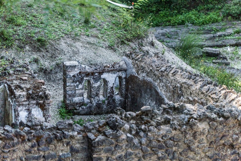 Nápoles: cata de vinos de Pompeya con almuerzo