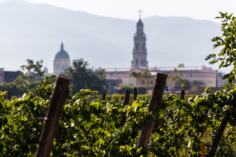 Nápoles: degustação de vinhos de Pompéia com almoço