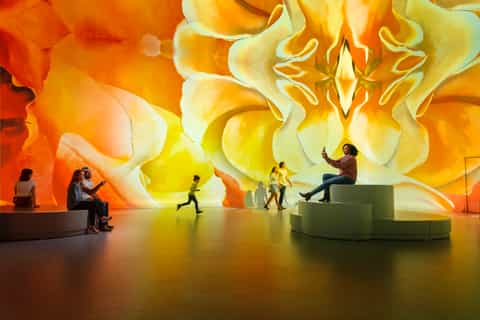 Illuminarium Atlanta: Immersive Experience Admission Ticket