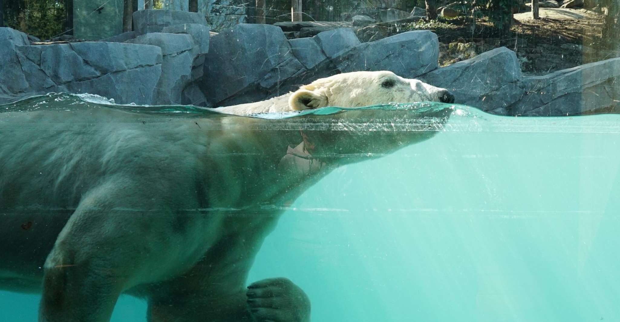 Amnéville Zoo, Full-Day Admission Ticket - Housity