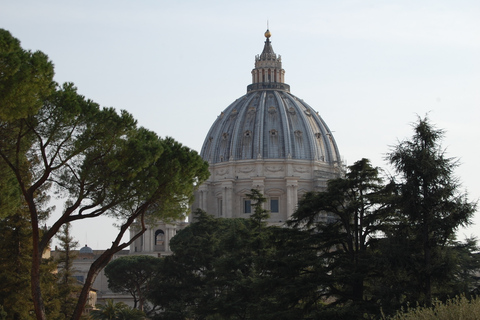 Vaticano: recorrido sin colas por lo más destacado y la Capilla SixtinaTour en ingles