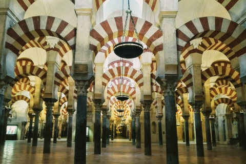 Cordoba, Andalusia: Mosque-Cathedral tour in FRENCH
