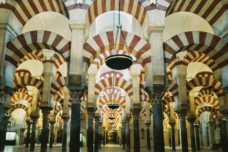 Cordoba, Andalusië: rondleiding moskee-kathedraal in het FRANS