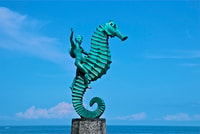 360 Puerto Vallarta City Tour con pranzo - Hizvo