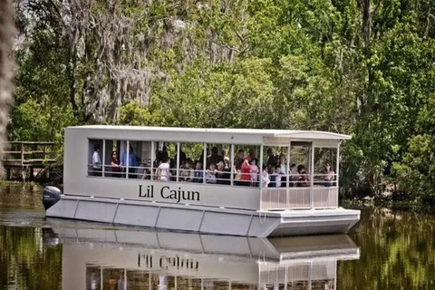New Orleans: Airboat or Pontoon Boat Cruise with Transfers