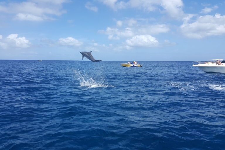 Mauritius: Pływanie w oceanie z delfinami i wycieczką na wyspę Benetiers