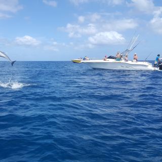 Mauritius: Schwimmen im Ozean mit Delfinen & Benetiers Island Tour