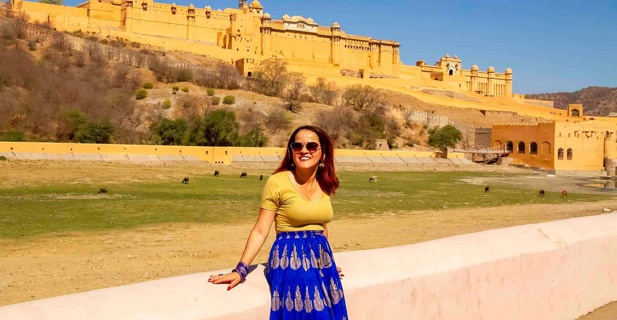 From Delhi, Jaipur Day Trip by Fast Train or Private Car - Hizvo