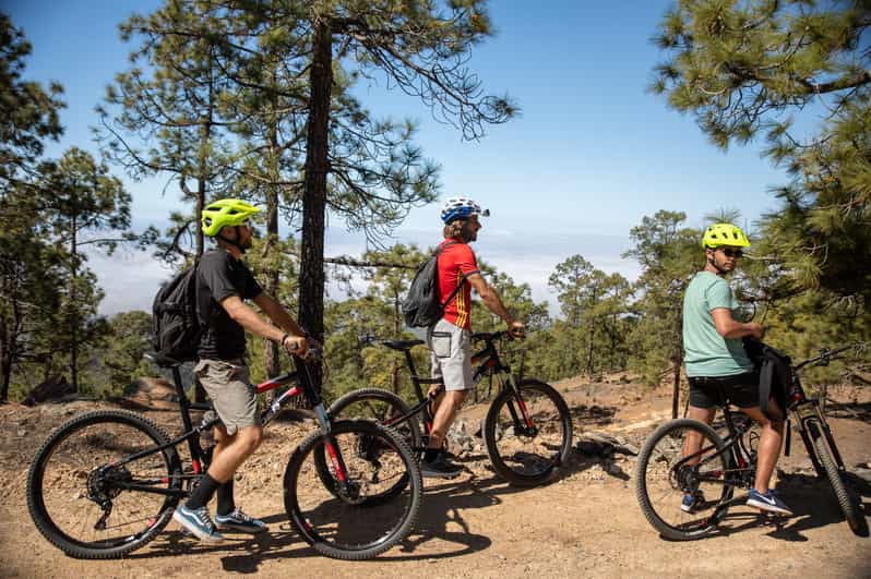 Los Cristianos: viaje en bicicleta de montaña de las montañas al mar |  GetYourGuide