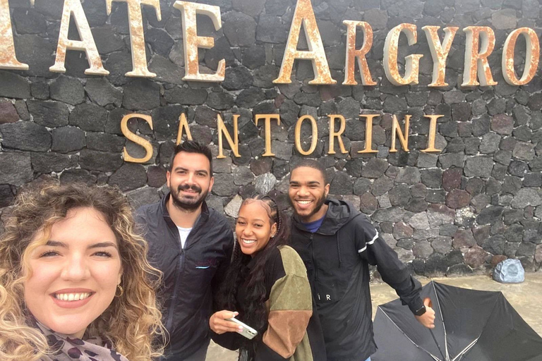 Santorin : visite de l'île avec dégustation de vinsSantorin : visite de l'île avec dégustation de vin