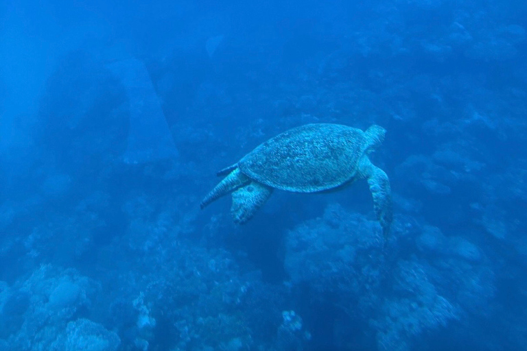 Hurghada : Après-midi, croisière en voilier dans la baie d'Orange avec déjeuner