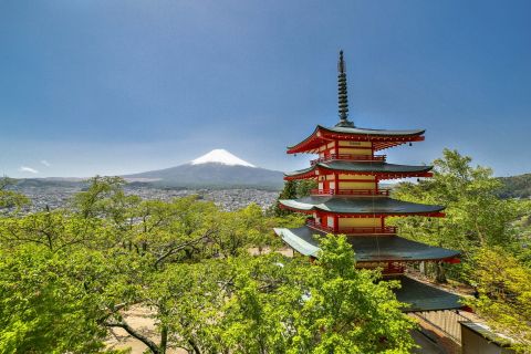 From Tokyo: Mount Fuji & Fujikawaguchiko Private Day Trip
