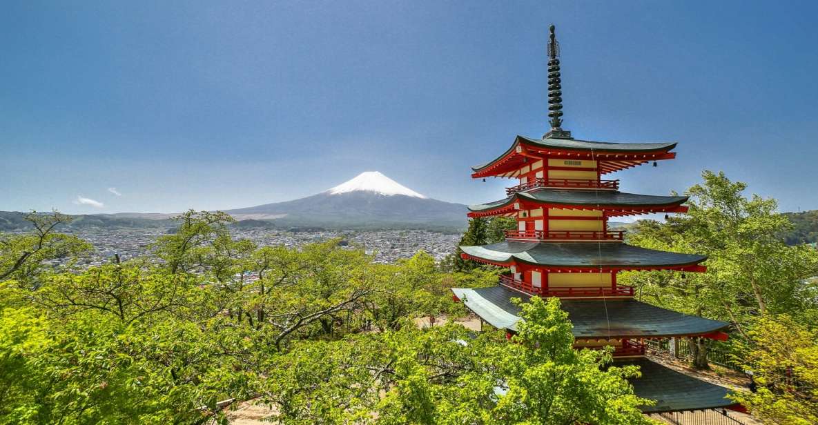 Z Tokio Prywatna Wycieczka Na Górę Fuji I Fujikawaguchiko Getyourguide 2720