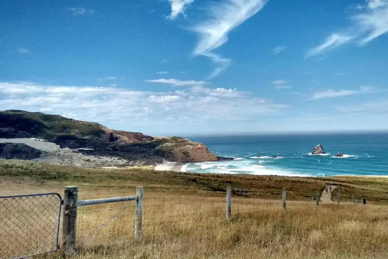 Dunedin City & Otago Peninsula Scenery Day Tour Private Tour