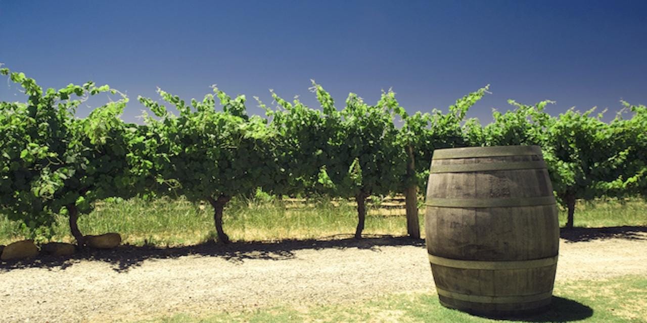 Private Tagestour zum Margaret River ab Perth