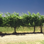 Margaret River Private Day Tour from Perth
