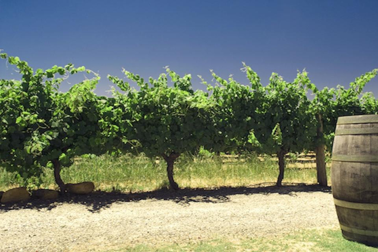 Swan Valley Private Tour