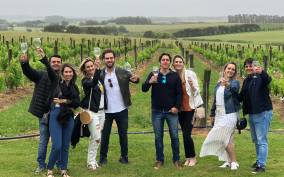 Montevideo: Wine Tasting & Countryside Lunch Experience
