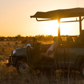Cascate Vittoria: Game Drive privato del Parco Nazionale dello Zambesi