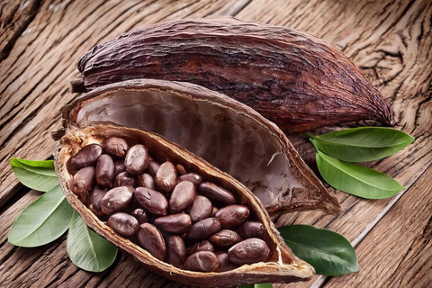 瀑布、巧克力之旅、雨林、皇家历史遗迹瀑布之旅、巧克力之旅、热带雨林、皇家历史之旅