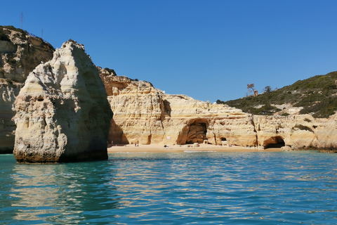 Grottes et littoral de Benagil, croisière en catamaranAlbufeira: croisière sur la côte de l'Algarve et les grottes de Benagil