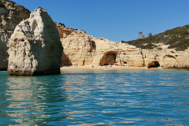 Grottes et littoral de Benagil, croisière en catamaranAlbufeira: croisière sur la côte de l'Algarve et les grottes de Benagil