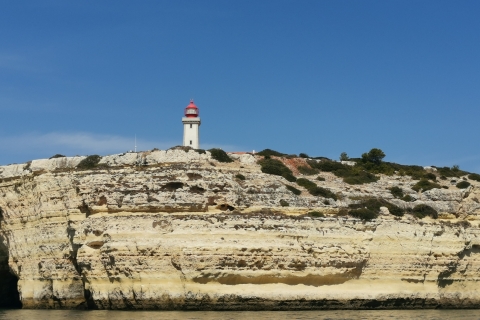 Grottes et littoral de Benagil, croisière en catamaranAlbufeira: croisière sur la côte de l'Algarve et les grottes de Benagil