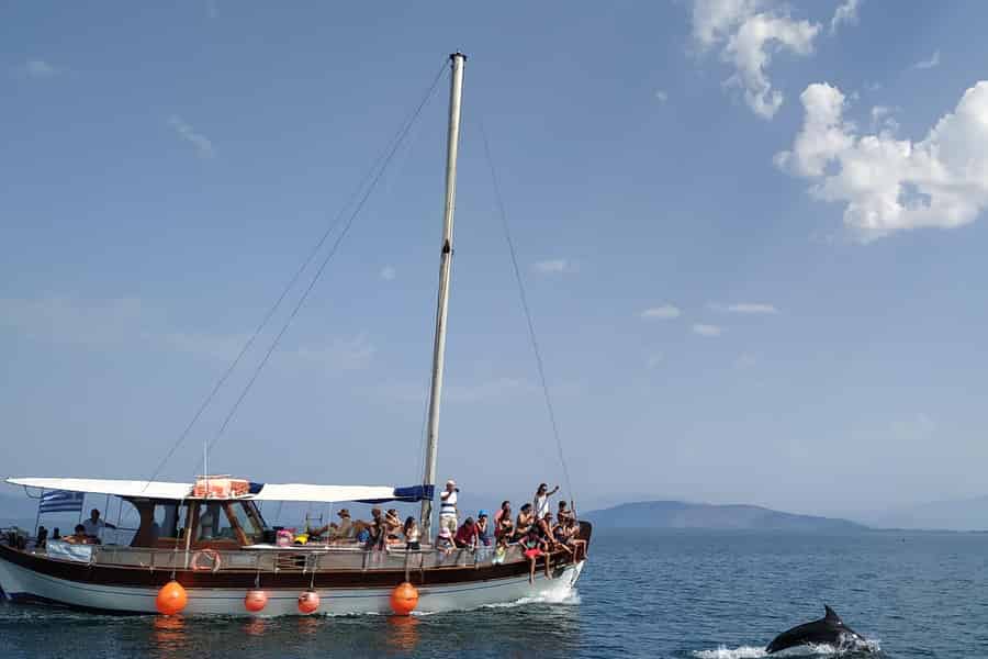 Preveza: Delphinbeobachtungstour mit Mittagessen und Getränken. Foto: GetYourGuide