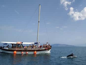 Preveza: Crucero para avistar delfines con almuerzo y bebidas