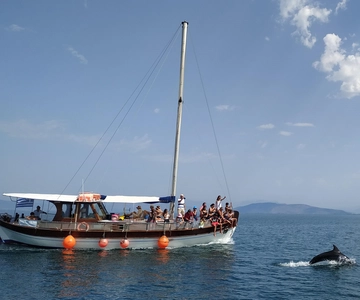 Preveza: Dolphin Watching Cruise with Lunch and Drinks