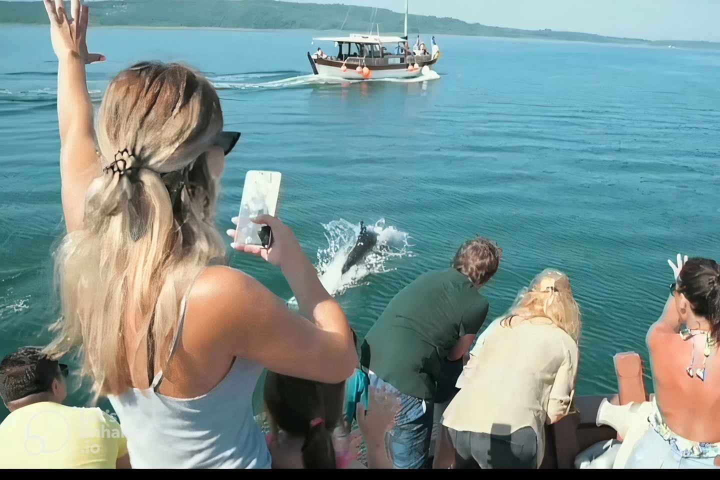 Preveza: Delfinbeobachtungskreuzfahrt mit Mittagessen und Getränken