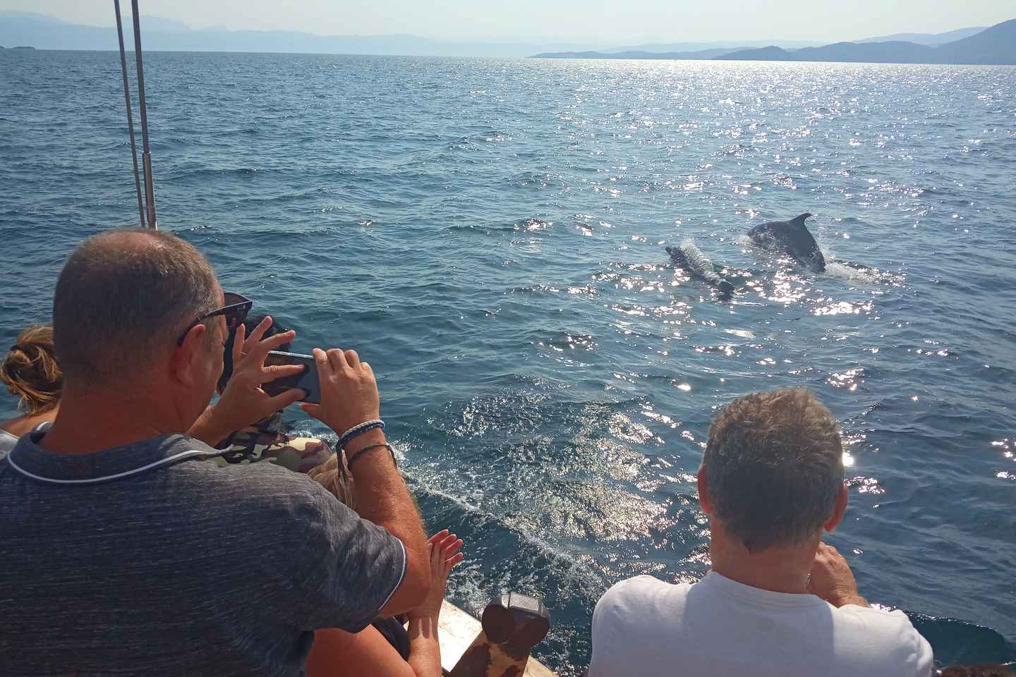 Preveza: Delfinbeobachtungskreuzfahrt mit Mittagessen und Getränken