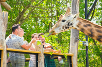 Amnéville Zoo, Full-Day Admission Ticket - Housity