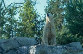 Zoo von Amnéville: Eintrittskarte für einen ganzen Tag