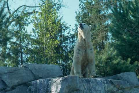 Amnéville Zoo: Full-Day Admission Ticket
