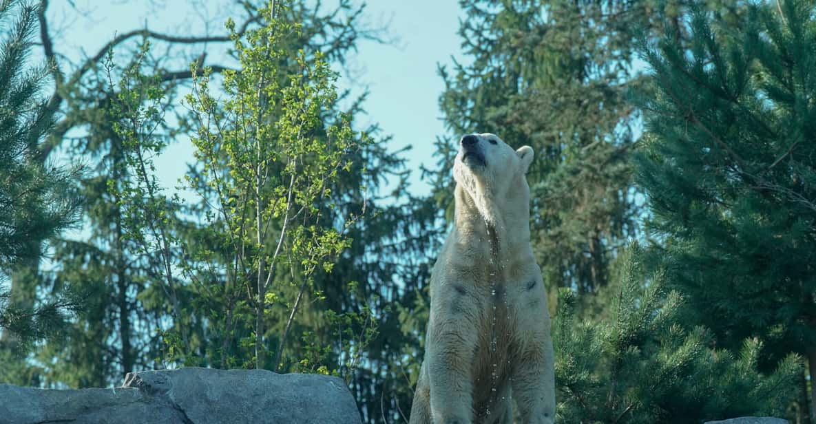 Amnéville Zoo Tagesticket GetYourGuide