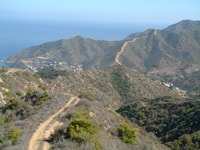Avalon, Catalina Island, Island Adventure Tour - Housity