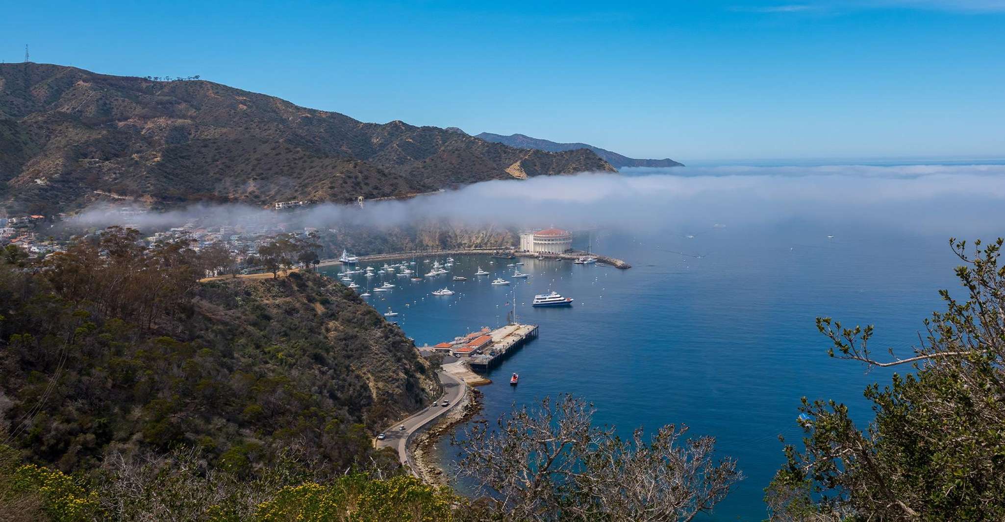 Avalon, Catalina Island, Island Adventure Tour - Housity