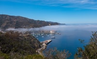 Avalon, Catalina Island, Island Adventure Tour - Housity