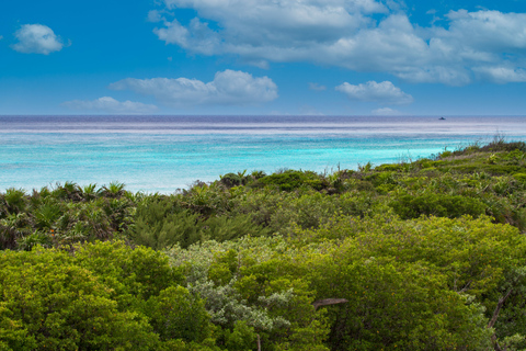 Cozumel: Aventura en bicicleta eléctrica por la costa norte y escapada a la playa