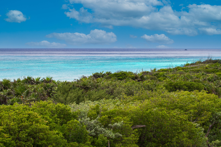 Cozumel: E-Bike-Abenteuer und Strandpause an der NordküsteCozumel:North Shore E-Bike Abenteuer & Strandpause