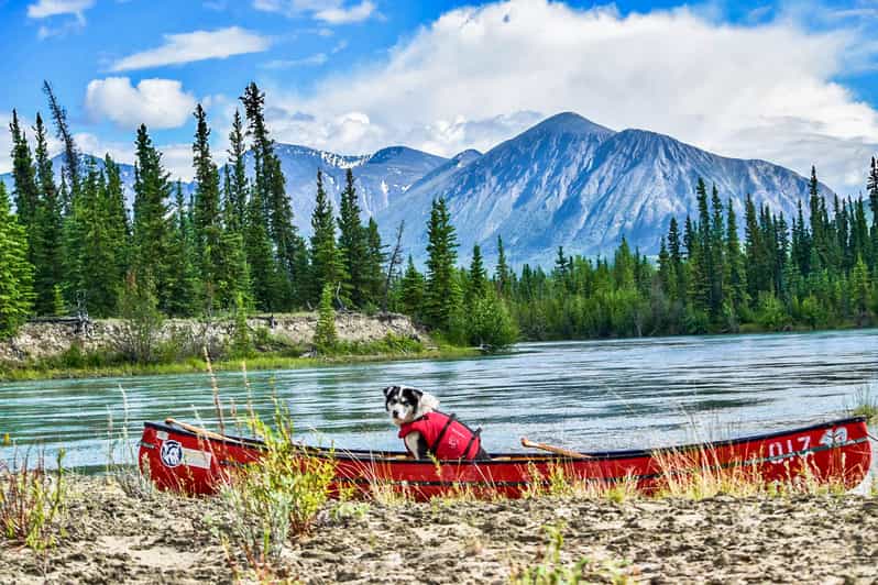 Whitehorse 5 Night Takhini River Canoe Camping Trip GetYourGuide